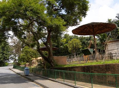Férias no Zoo