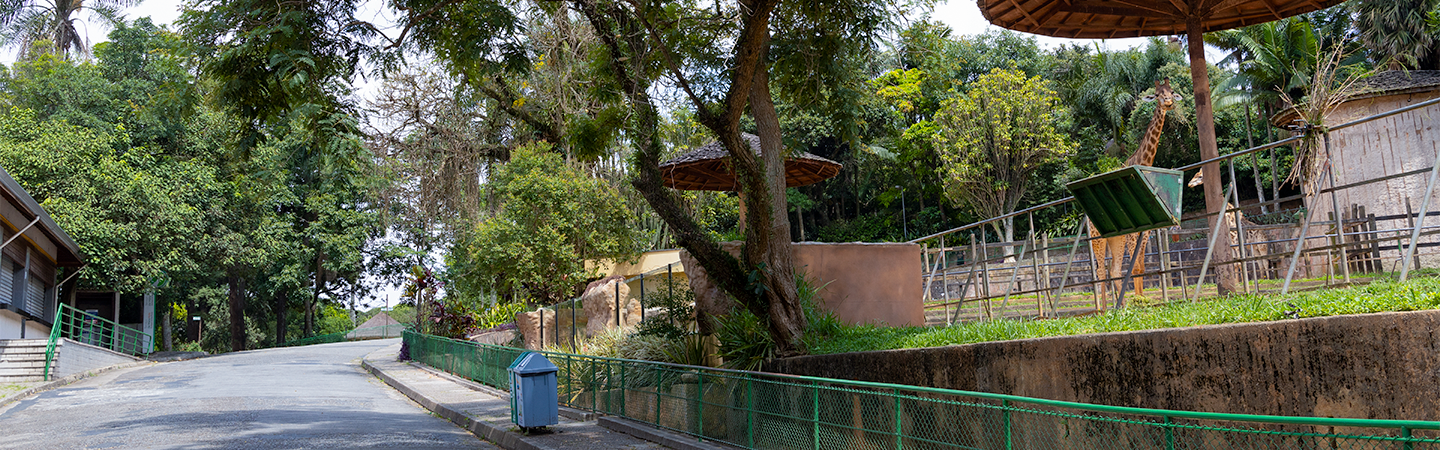 Férias no Zoo