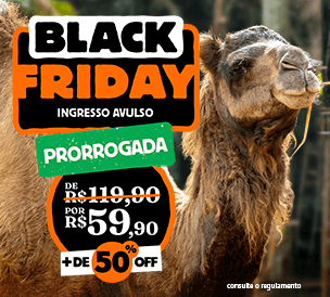 SINGLE ENTRANCE TICKET