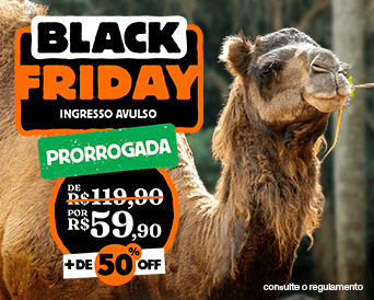 SINGLE ENTRANCE TICKET