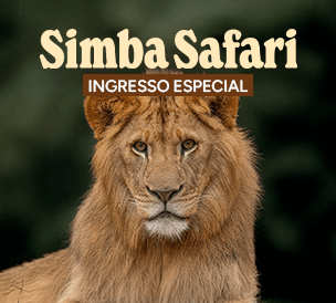 INGRESSO ESPECIAL