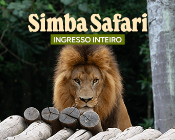 INGRESSO INTEIRO