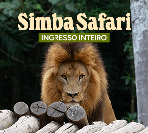 INGRESSO INTEIRO